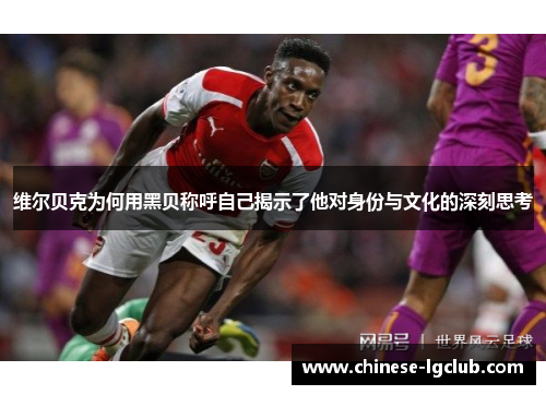 维尔贝克为何用黑贝称呼自己揭示了他对身份与文化的深刻思考