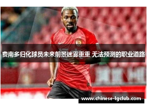 费南多归化球员未来前景迷雾重重 无法预测的职业道路 费南多归化球员未来前景迷雾重重 无法预测的职业道路